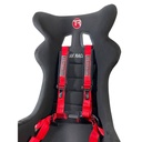Trak Racer 4 Point Seat Harness