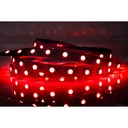 Trak Racer 2M/6.6' LED Strip Lights With 1M/3.3' USB Cable - Set Of 2