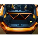 SW Motorsports Rear SW Brace