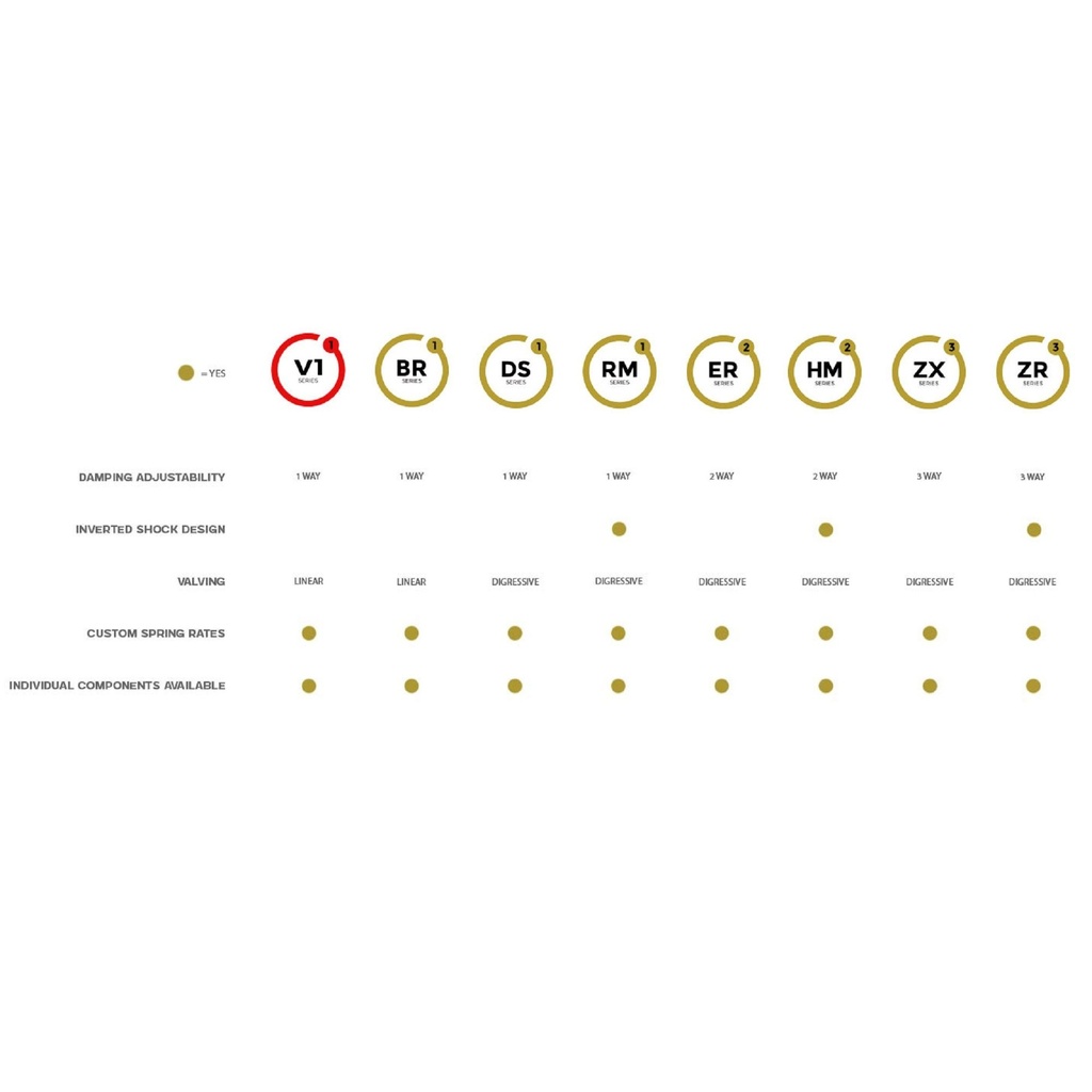 BC Racing BR Series Coilover Suspension Kit - 1 Way Damping Adjustment