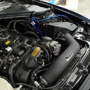 MST Performance Induction Kit