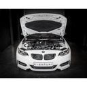 Eventuri Carbon Fibre Intake System