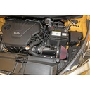K&N Filters Typhoon Induction Kit