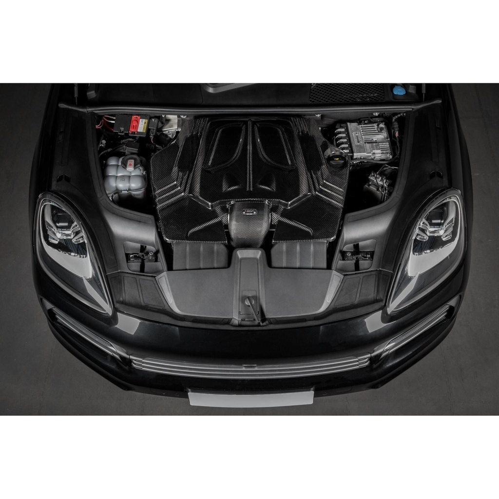 Eventuri Carbon Fibre Intake System