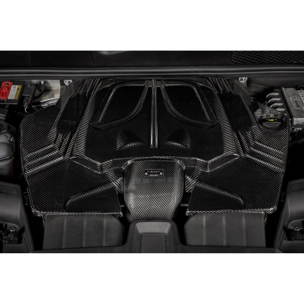 Eventuri Carbon Fibre Intake System