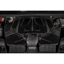 Eventuri Carbon Fibre Intake System