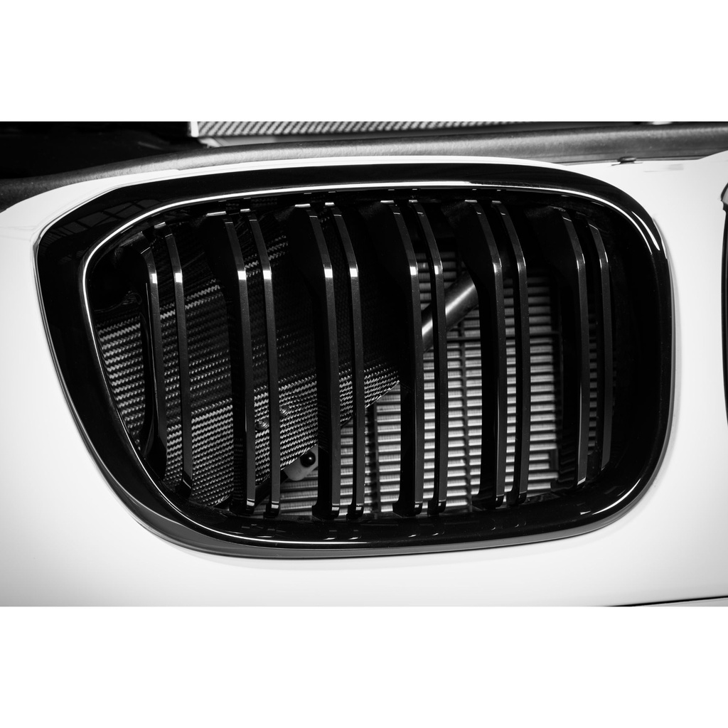 Eventuri Carbon Fibre Intake System