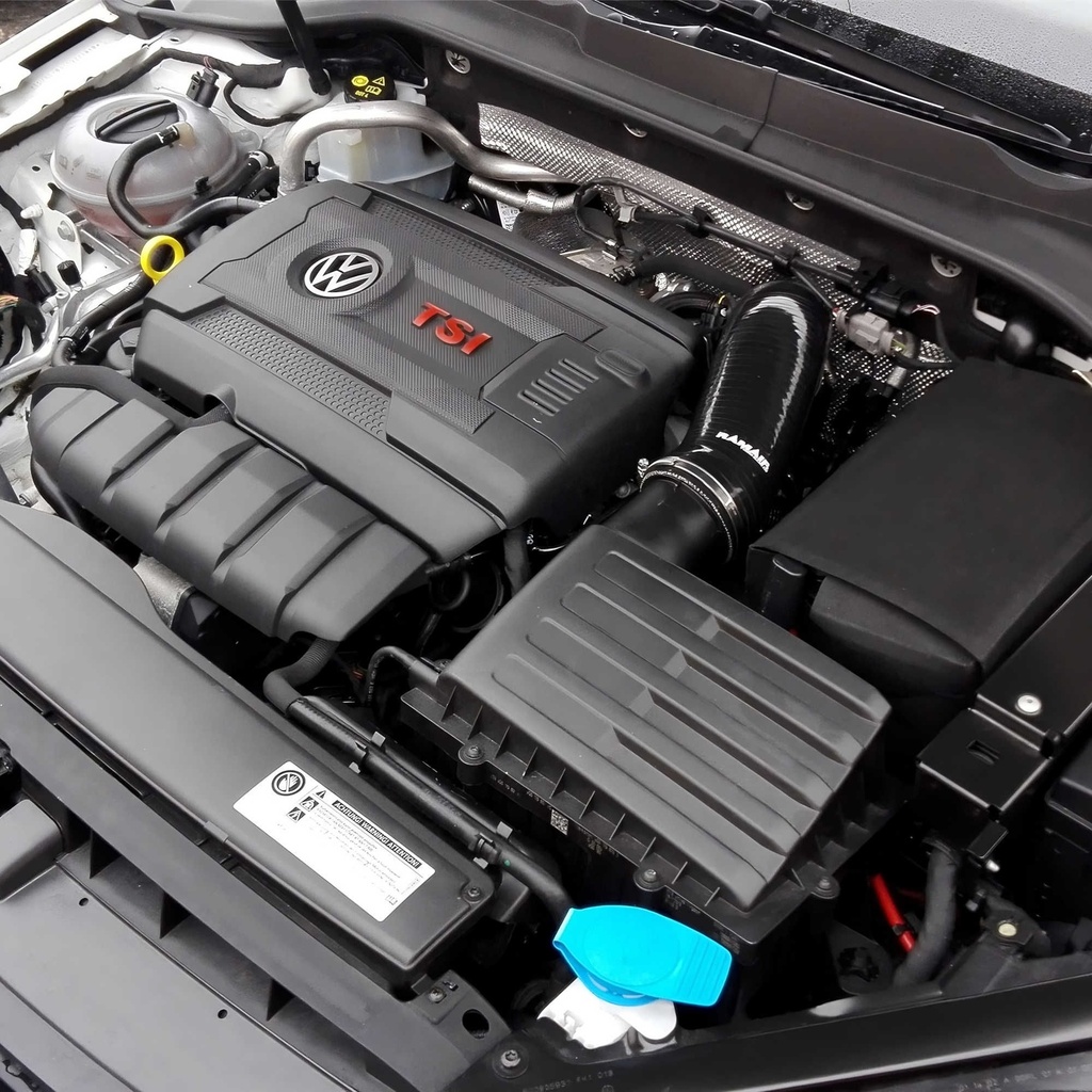 Ramair Performance Induction Kit