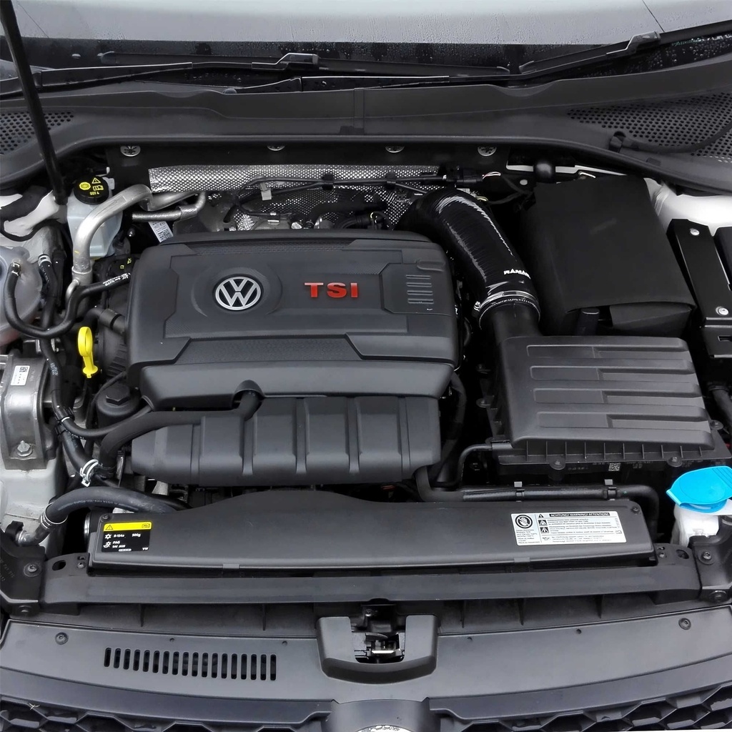 Ramair Performance Induction Kit