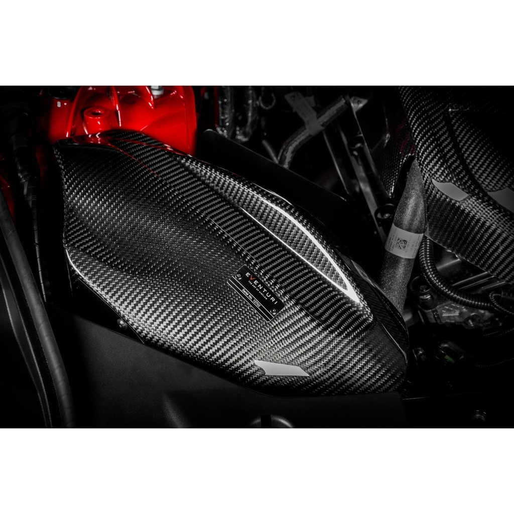 Eventuri Carbon Fibre Intake System