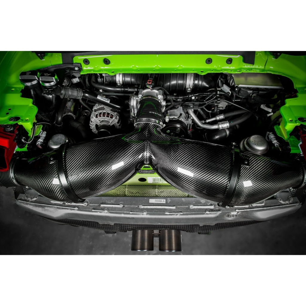 Eventuri Carbon Fibre Intake System