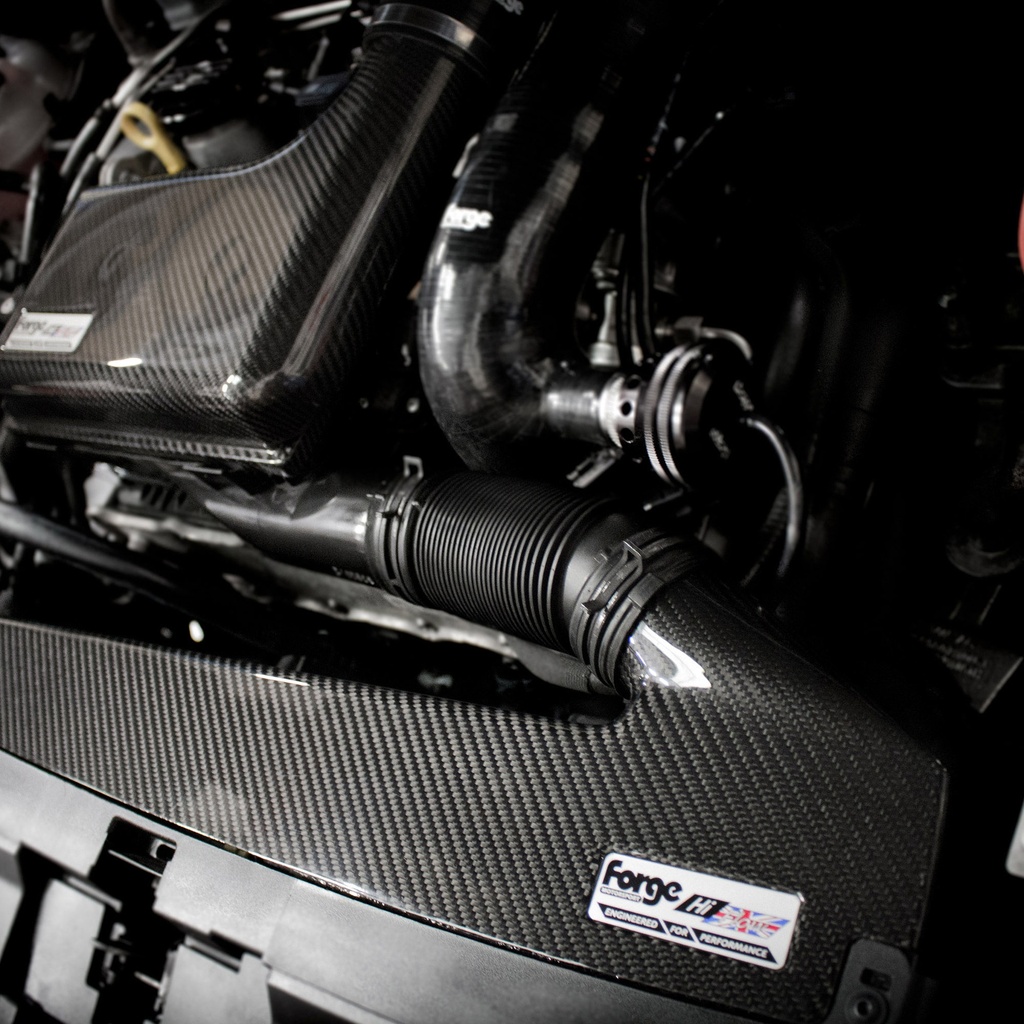 Forge High Flow Carbon Intake Kit
