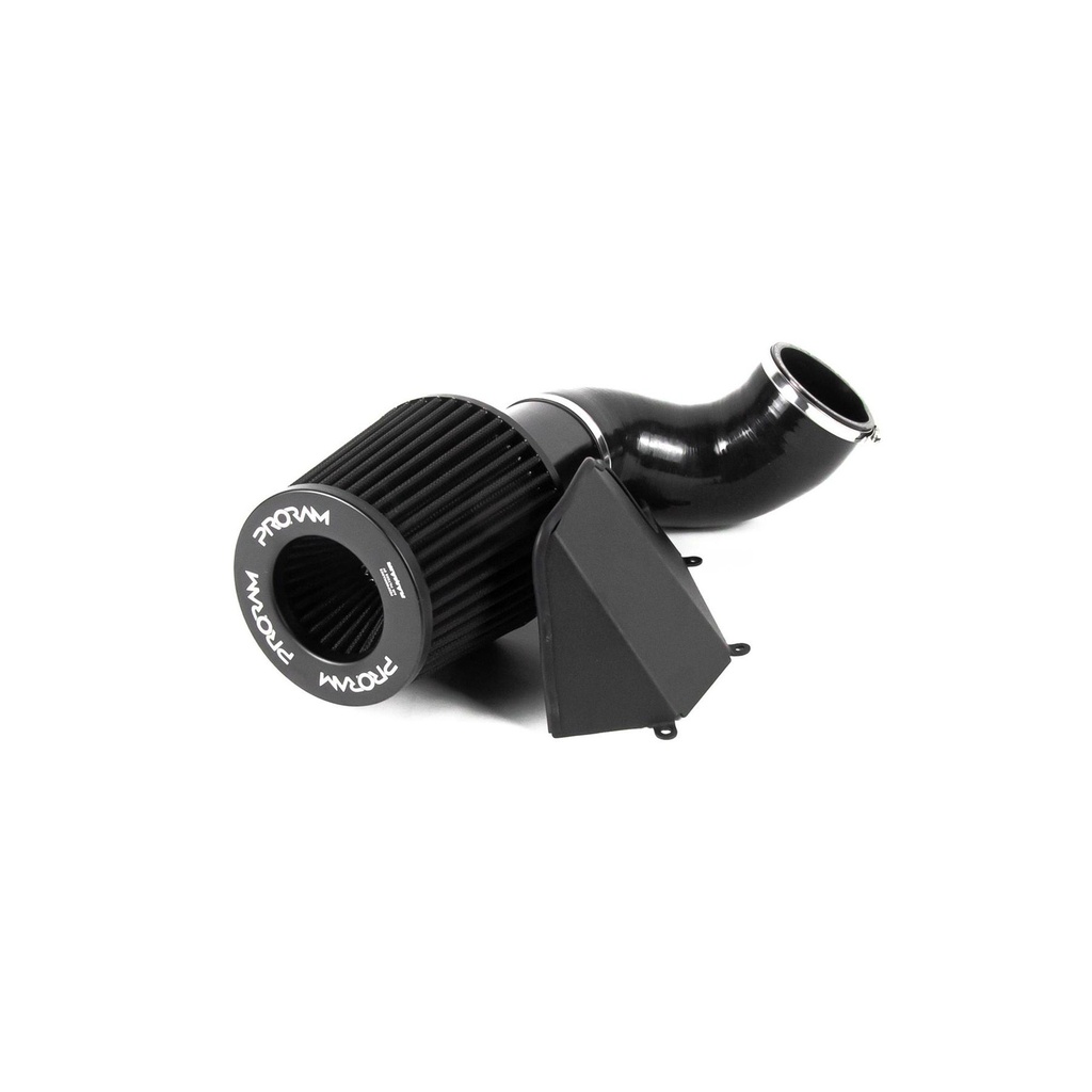 RamAir PRORAM Performance Induction Kit