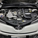 MST Performance Induction Kit