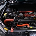 Mishimoto Cold Air Intake - Wrinkle Red