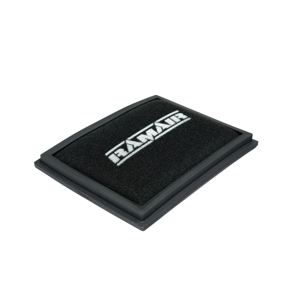 RamAir Performance Replacement Element