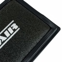 RamAir Performance Replacement Element