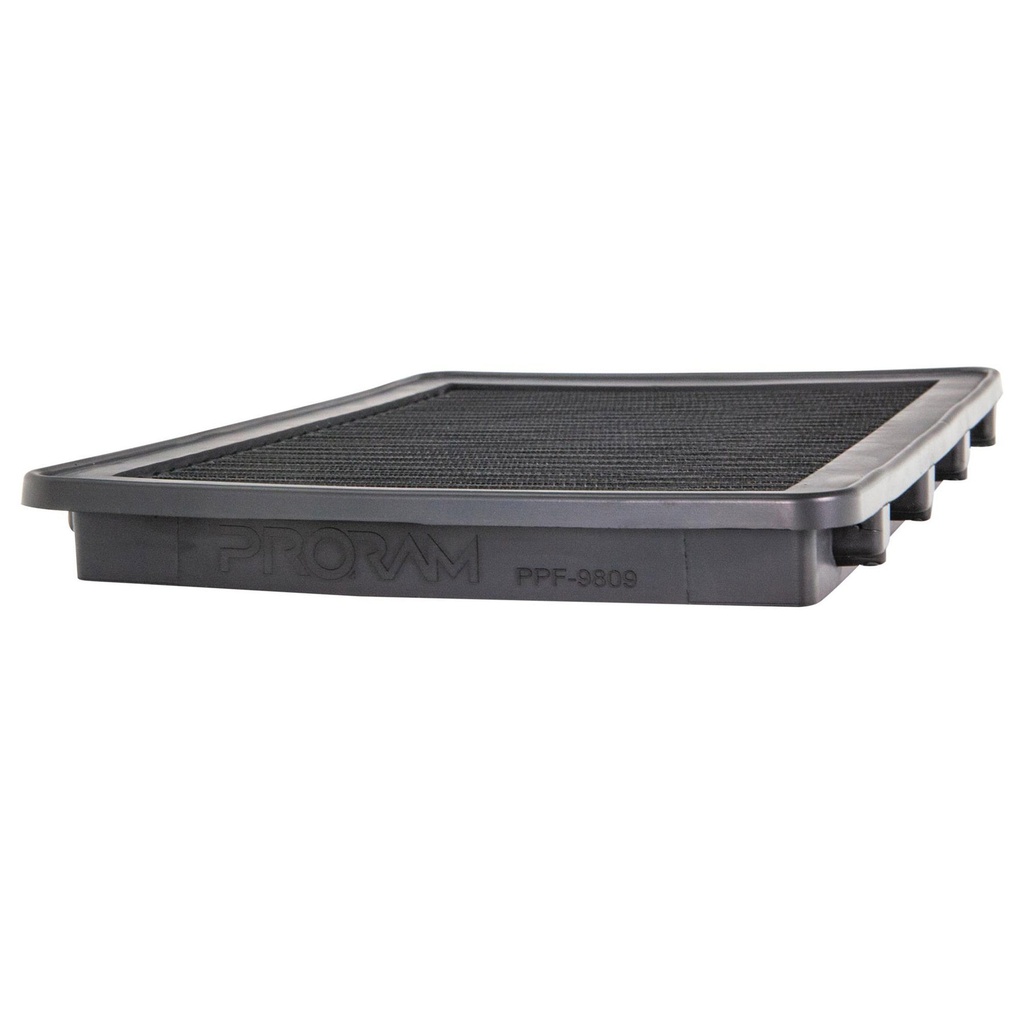 RamAir PRORAM Performance Replacement Element