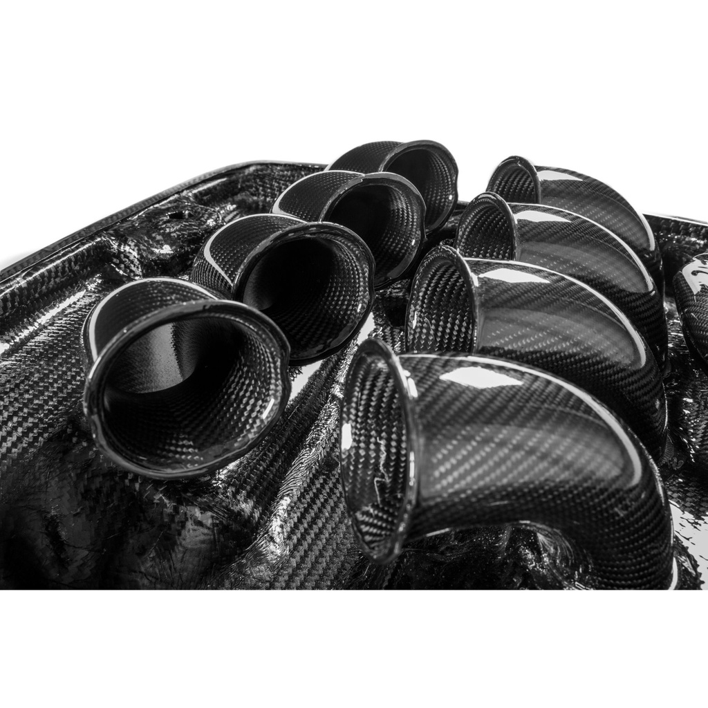 Eventuri Carbon Fibre Inlet Plenum