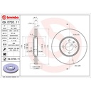 Brembo Prime UV Coated Brake Discs