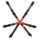 Lifeline Woodcote 6 Point Harness