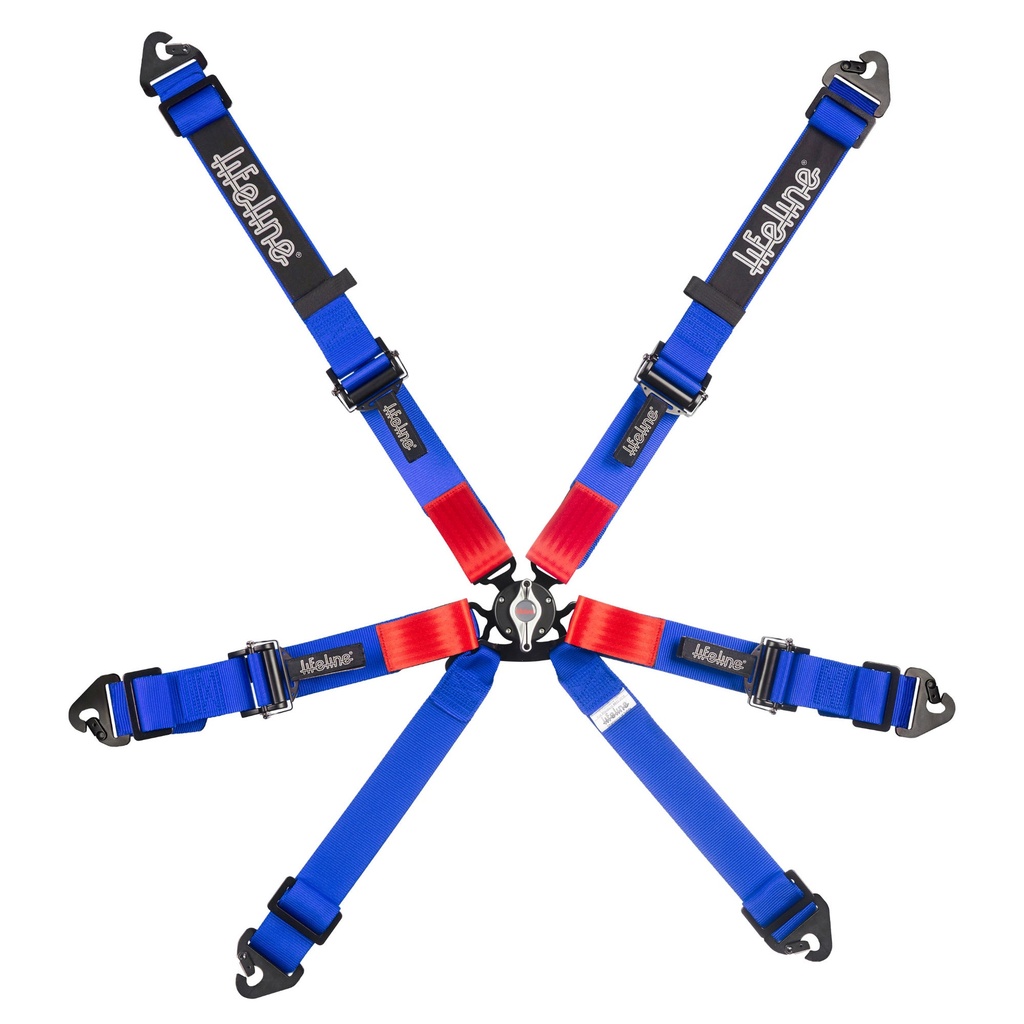 Lifeline Woodcote 6 Point Harness