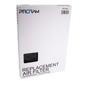 RamAir PRORAM Performance Replacement Element