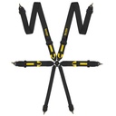 Race Safety Accessories Pro 6 Point Saloon Harness