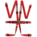 TRS Pro International Standard / Superlite / Ultralite 6 Point Saloon Harness