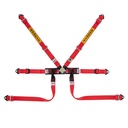 Sabelt Steel Formula Basic 6 Point Harness