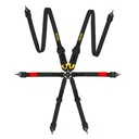 Race Safety Accessories ProLite 6 Point Endurance Harness