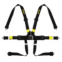 Race Safety Accessories ProLite 6 Point Single Seater Harness