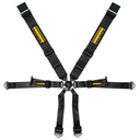 Schroth Porsche 3x2 Harness