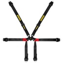 Schroth Formula 2x2 Harness