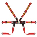 Sabelt Steel Formula Mid 6 Point Harness