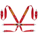 Sabelt Steel Rally 3x2 6 Point Harness