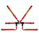 Sabelt Silver Formula 6 Point Harness