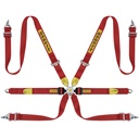 Sabelt Silver Endurance 6 Point Harness