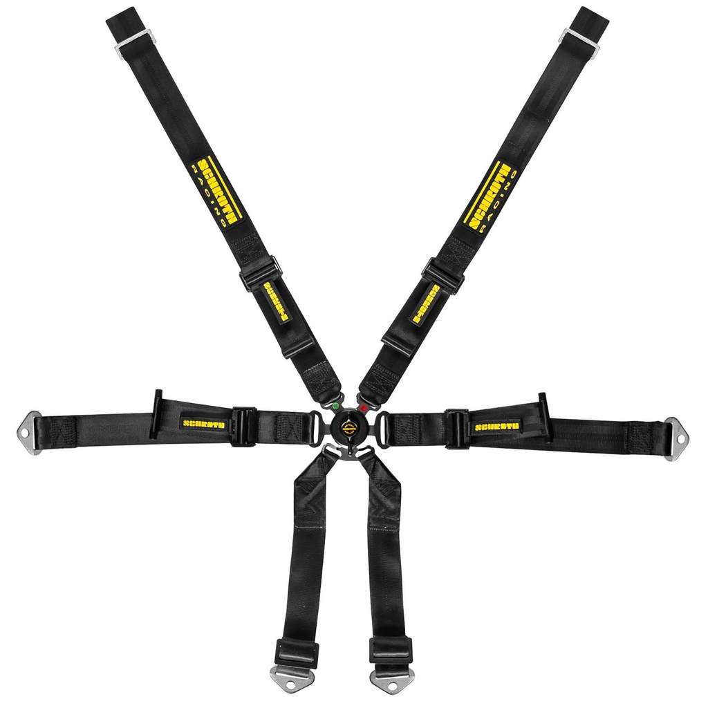 Schroth Porsche 2x2 Harness
