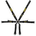 Schroth Porsche 2x2 Harness