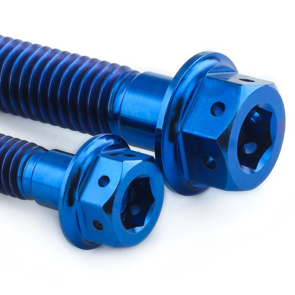 Pro-Bolt Titanium Engine Bolt Kit