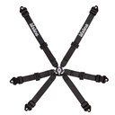 Lifeline Becketts 2x2 6 Point Harness