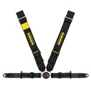 Schroth Lotus Elise Exige II-FE ASM Harness