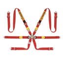 Sabelt Silver LPM 6 Point Harness