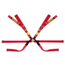 Sabelt Gold Super Formula 8 Point Harness