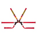 Sabelt Gold Super Formula 6 Point Harness