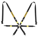 Sabelt Ultralight Porsche 997 6 Point Endurance Harness