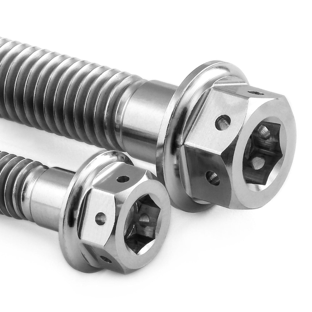Pro-Bolt Titanium Engine Bolt Kit