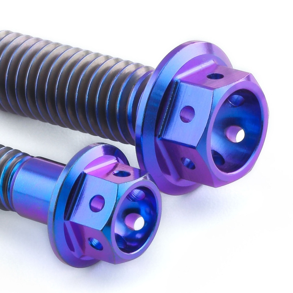 Pro-Bolt Titanium Engine Bolt Kit