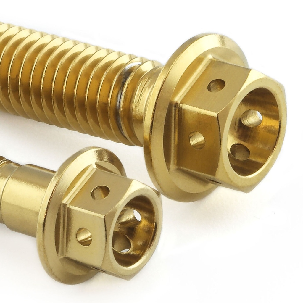 Pro-Bolt Stainless Steel Engine Bolt Kit